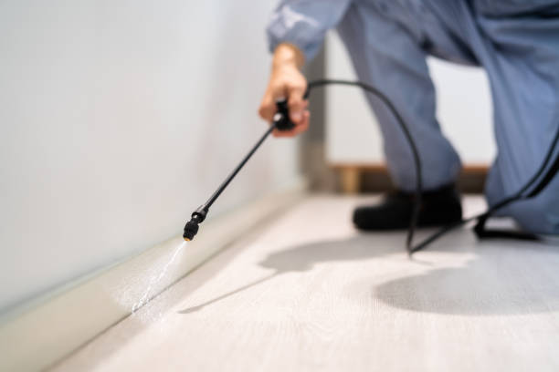 Licensed Termite Control service in Wellington, TX - Nex Pest Control