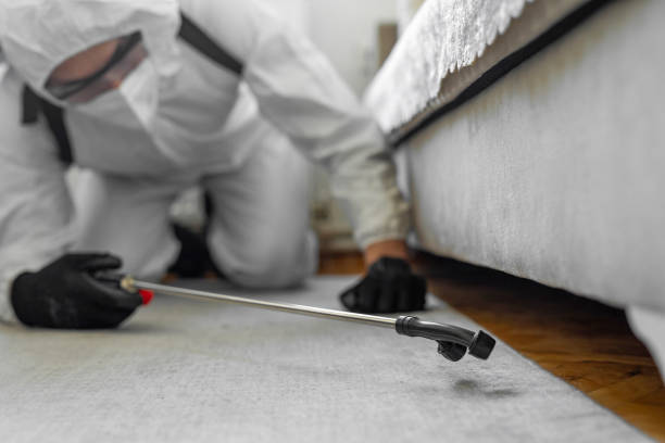 Professional Termite Control technician working in Wellington, TX