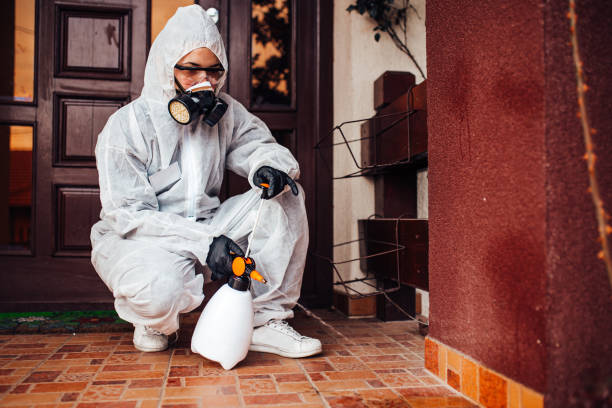 Reliable Termite Control contractor in Wellington, TX by Nex Pest Control